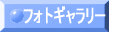 �t�H�g�M�������[ 