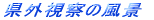 �v���t�B�[��