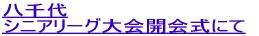 �v���t�B�[��