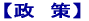 政策
